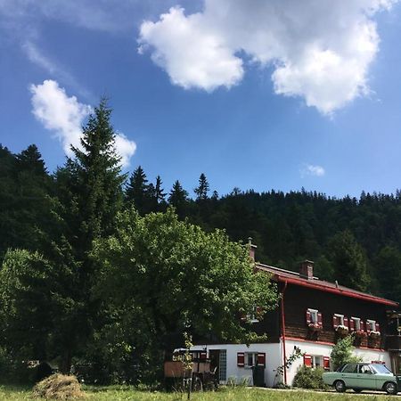 Gatterl Zum See Reit im Winkl Exterior photo