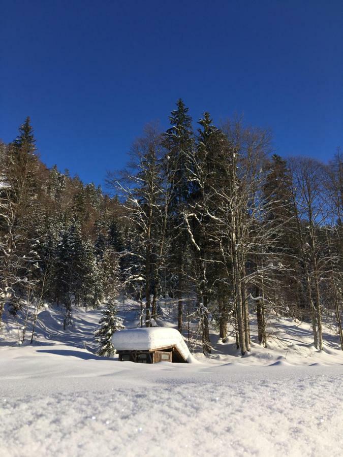 Gatterl Zum See Reit im Winkl Exterior photo